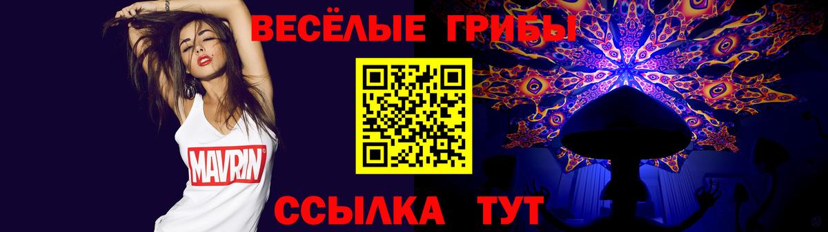 Галлюциногенные грибы GOLDEN TEACHER  Вход с VPN  Качканар  Псилоцибиновые грибы ЛСД 