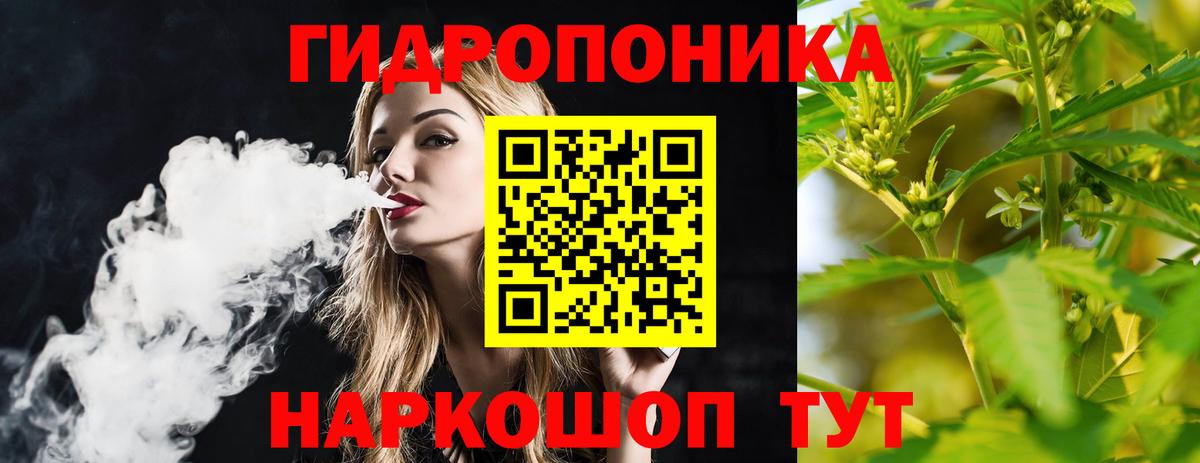 Бошки Шишки THC 21% Качканар
